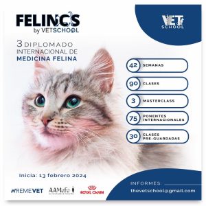 III Diplomado Internacional de Medicina Felina